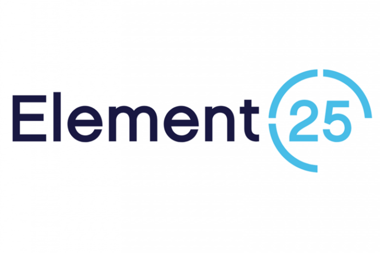 Element 25 Announces Share Purchase Plan
