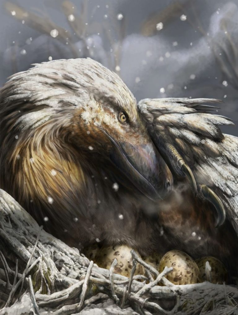 The evolutionary twist that could have helped dinosaurs rule Earth