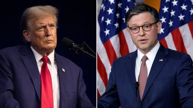 ‘Doesn’t matter’ which Democrat faces Trump in November, Mike Johnson says