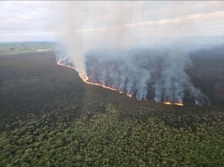 Firefighters battle huge blaze tearing through New Zealand wetland home to threatened species