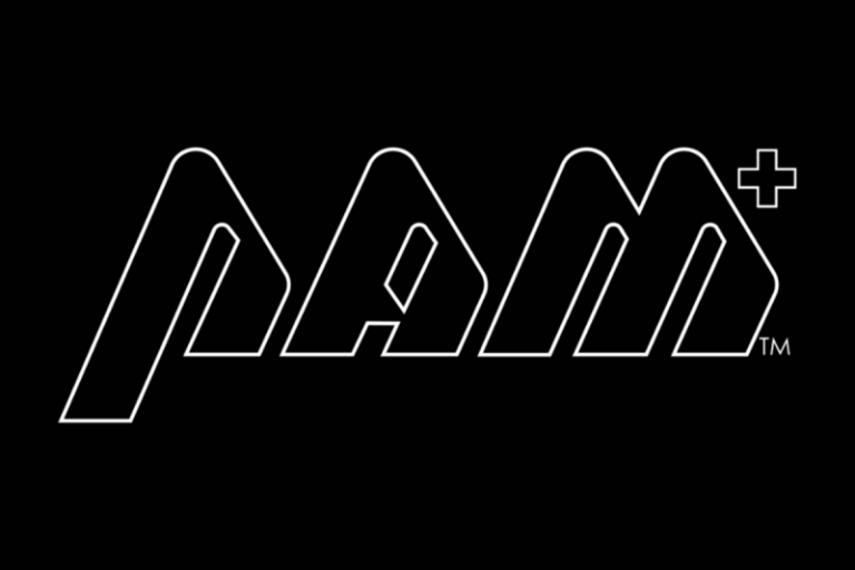 PAM Secures A$35 Million Capital Commitment Agreement Commitment Positions PAM to Deliver Significant Project Outcomes Company to be re-named Flagship Minerals Limited