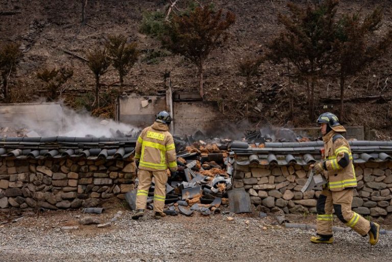 Man caring for ancestors’ grave may have ignited huge South Korea wildfire, police say