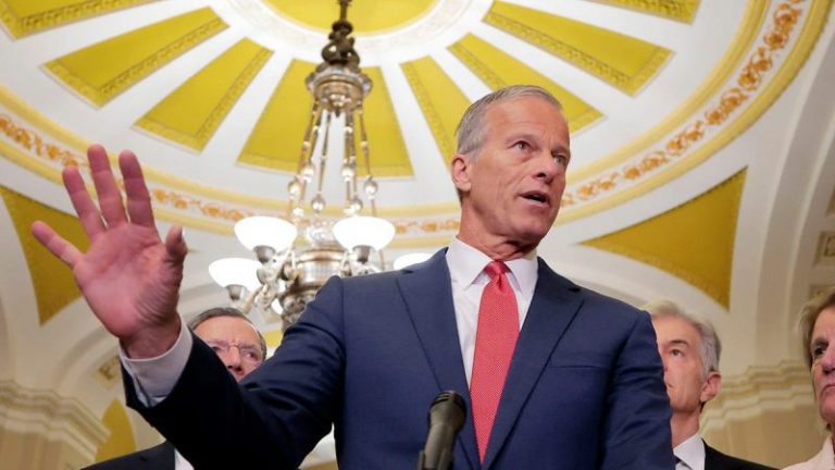 ‘Baby steps’: Leader Thune details his work to corral Republicans behind Trump’s legislative vision